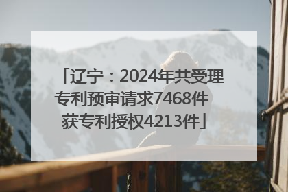 辽宁：2024年共受理专利预审请求7468件 获专利授权4213件