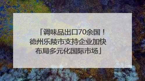 调味品出口70余国！德州乐陵市支持企业加快布局多元化国际市场