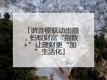 谐音梗联动出圈，蚂蚁财富“指数+”让理财更“加”生活化