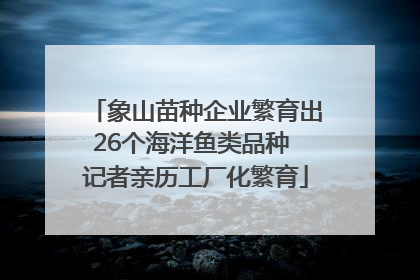 象山苗种企业繁育出26个海洋鱼类品种 记者亲历工厂化繁育
