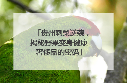 贵州刺梨逆袭，揭秘野果变身健康奢侈品的密码