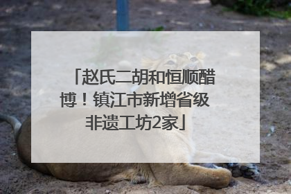 赵氏二胡和恒顺醋博！镇江市新增省级非遗工坊2家