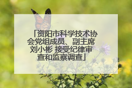 资阳市科学技术协会党组成员、副主席刘小彬 接受纪律审查和监察调查
