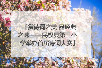 赏诗词之美 品经典之味——民权县第三小学举办首届诗词大赛