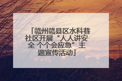 赣州赣县区水科巷社区开展“人人讲安全 个个会应急”主题宣传活动