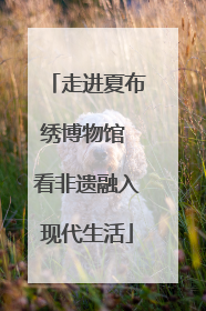 走进夏布绣博物馆 看非遗融入现代生活