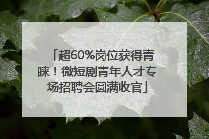 超60%岗位获得青睐！微短剧青年人才专场招聘会圆满收官