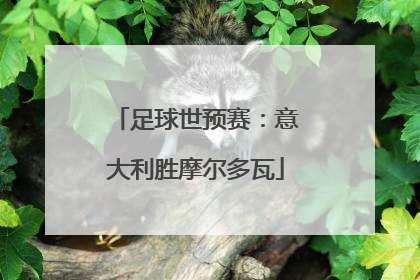 足球世预赛：意大利胜摩尔多瓦