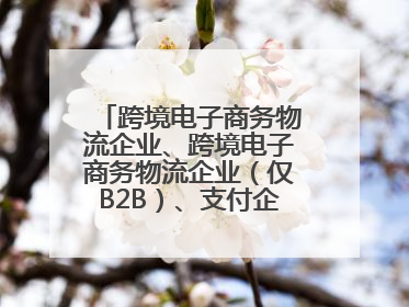 跨境电子商务物流企业、跨境电子商务物流企业（仅B2B）、支付企业备案操作指南