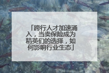 跨行人才加速涌入，当卖保险成为精英们的选择，如何影响行业生态
