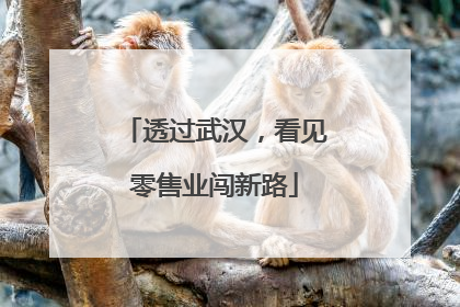 透过武汉，看见零售业闯新路
