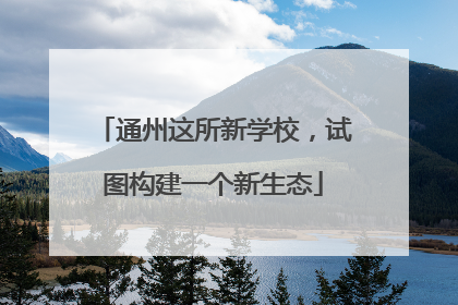 通州这所新学校，试图构建一个新生态