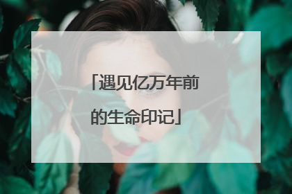 遇见亿万年前的生命印记