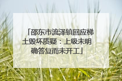 邵东市流泽镇回应梯土毁坏质疑：上级未明确答复而未开工