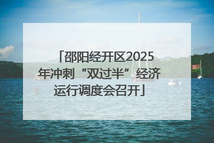 邵阳经开区2025年冲刺“双过半”经济运行调度会召开