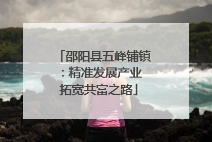 邵阳县五峰铺镇：精准发展产业 拓宽共富之路