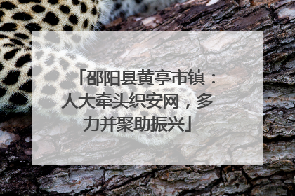邵阳县黄亭市镇：人大牵头织安网，多力并聚助振兴