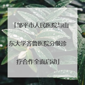 邹平市人民医院与山东大学齐鲁医院分级诊疗合作全面启动