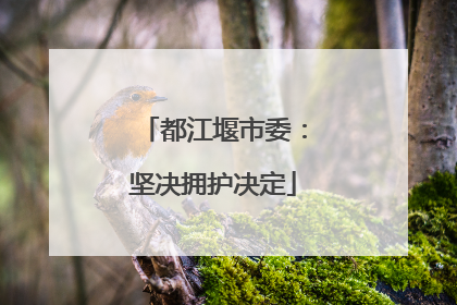 都江堰市委：坚决拥护决定
