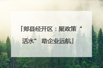 郏县经开区：聚政策“活水” 助企业远航