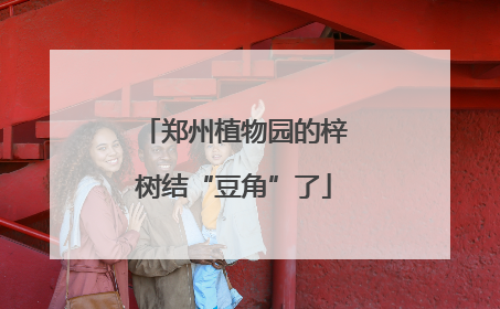 郑州植物园的梓树结“豆角”了