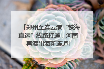 郑州至连云港“铁海直运”线路打通，河南再添出海新通道