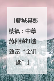 鄄城县彭楼镇：中草药种植打造致富“金钥匙”