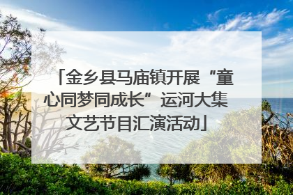金乡县马庙镇开展“童心同梦同成长”运河大集文艺节目汇演活动