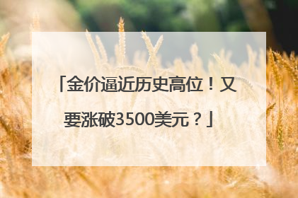金价逼近历史高位！又要涨破3500美元？