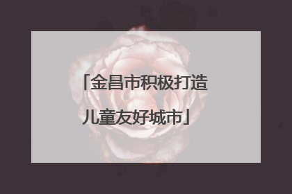 金昌市积极打造儿童友好城市