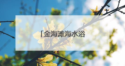 金海滩海水浴场焕新升级！