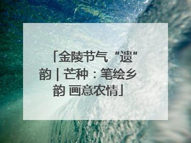 金陵节气“遗”韵｜芒种：笔绘乡韵 画意农情