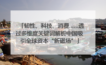 韧性、科技、消费……透过多维度关键词解析中国吸引全球资本“新磁场”