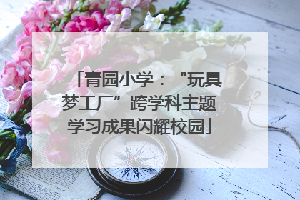 青园小学：“玩具梦工厂”跨学科主题学习成果闪耀校园