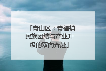 青山区：青福镇民族团结与产业升级的双向奔赴