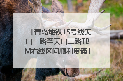 青岛地铁15号线天山一路至天山二路TBM右线区间顺利贯通