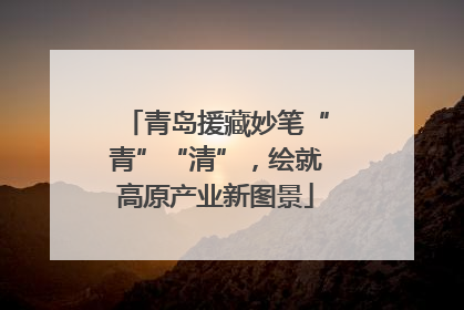青岛援藏妙笔“青”“清”，绘就高原产业新图景