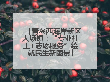 青岛西海岸新区大场镇：“专业社工+志愿服务”绘就民生新图景