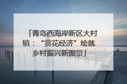 青岛西海岸新区大村镇：“赏花经济”绘就乡村振兴新图景