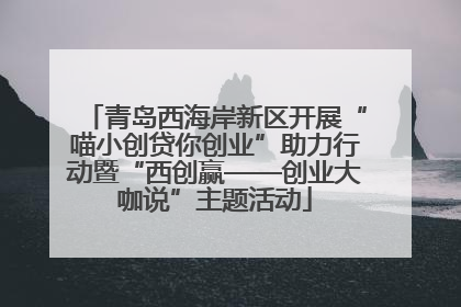 青岛西海岸新区开展“喵小创贷你创业”助力行动暨“西创赢——创业大咖说”主题活动