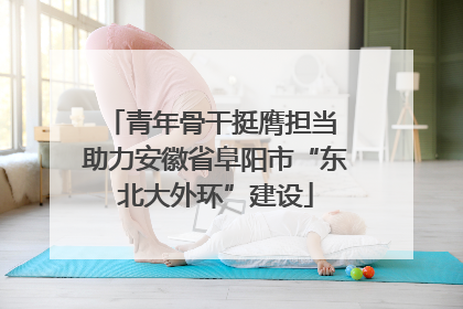 青年骨干挺膺担当 助力安徽省阜阳市“东北大外环”建设