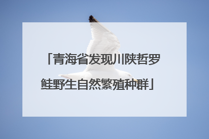 青海省发现川陕哲罗鲑野生自然繁殖种群