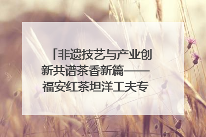非遗技艺与产业创新共谱茶香新篇——福安红茶坦洋工夫专场推介会在京举办