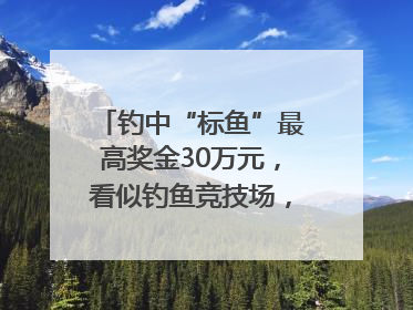 钓中“标鱼”最高奖金30万元，看似钓鱼竞技场，实则以高额“回报”作“饵”……｜今晚九点半