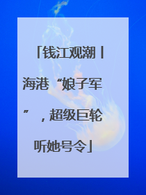 钱江观潮丨海港“娘子军”，超级巨轮听她号令
