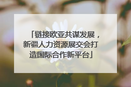 链接欧亚共谋发展，新疆人力资源展交会打造国际合作新平台