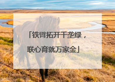 铁臂拓开千垄绿，联心育就万家金
