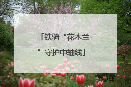 铁骑“花木兰”守护中轴线