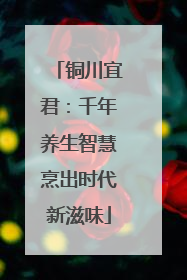 铜川宜君：千年养生智慧烹出时代新滋味