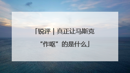 锐评｜真正让马斯克“作呕”的是什么